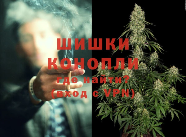 PSILOCYBIN Навашино