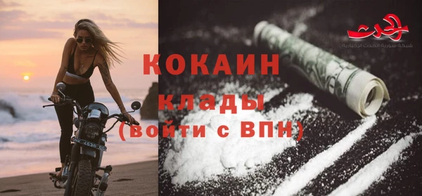 ГАЛЛЮЦИНОГЕННЫЕ ГРИБЫ Заводоуковск