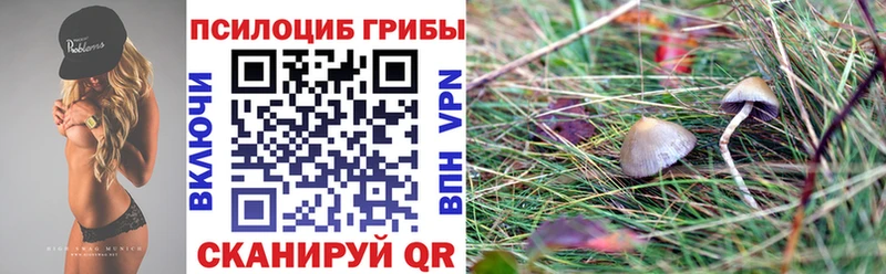 наркотики  Искитим  Галлюциногенные грибы ЛСД 